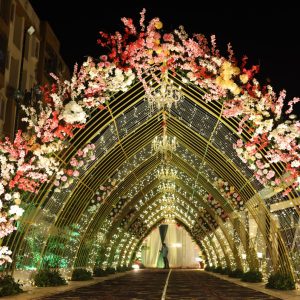 WhatsApp Image 2025-03-12 at 22.12.45